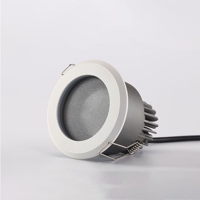 Downlight Front View