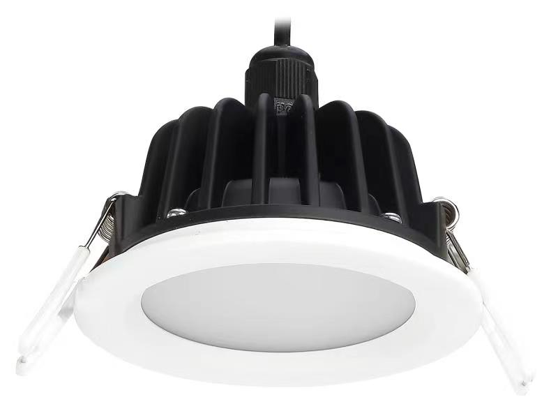 Downlight Front View
