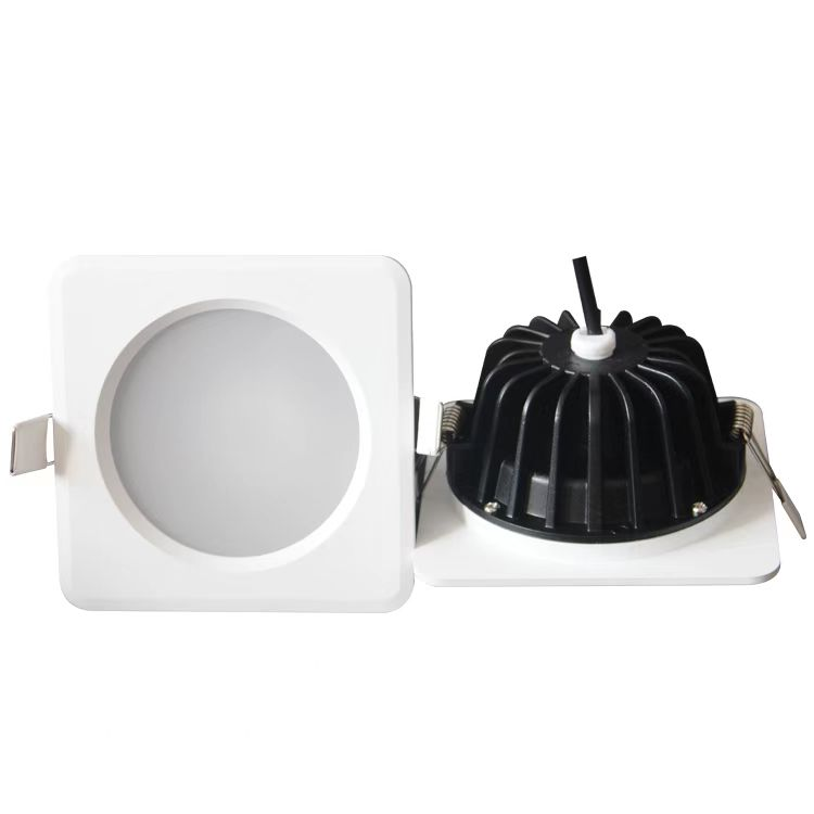 Downlight Bottom View