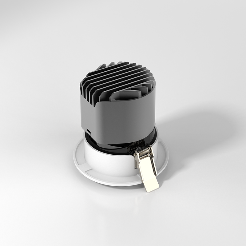 Downlight Bottom View