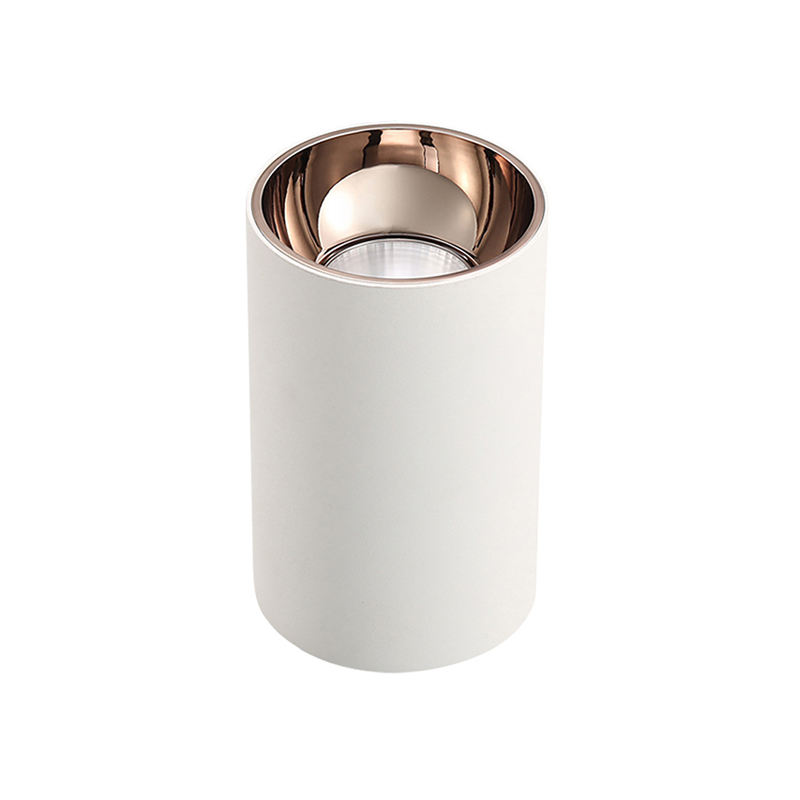 Downlight Front View