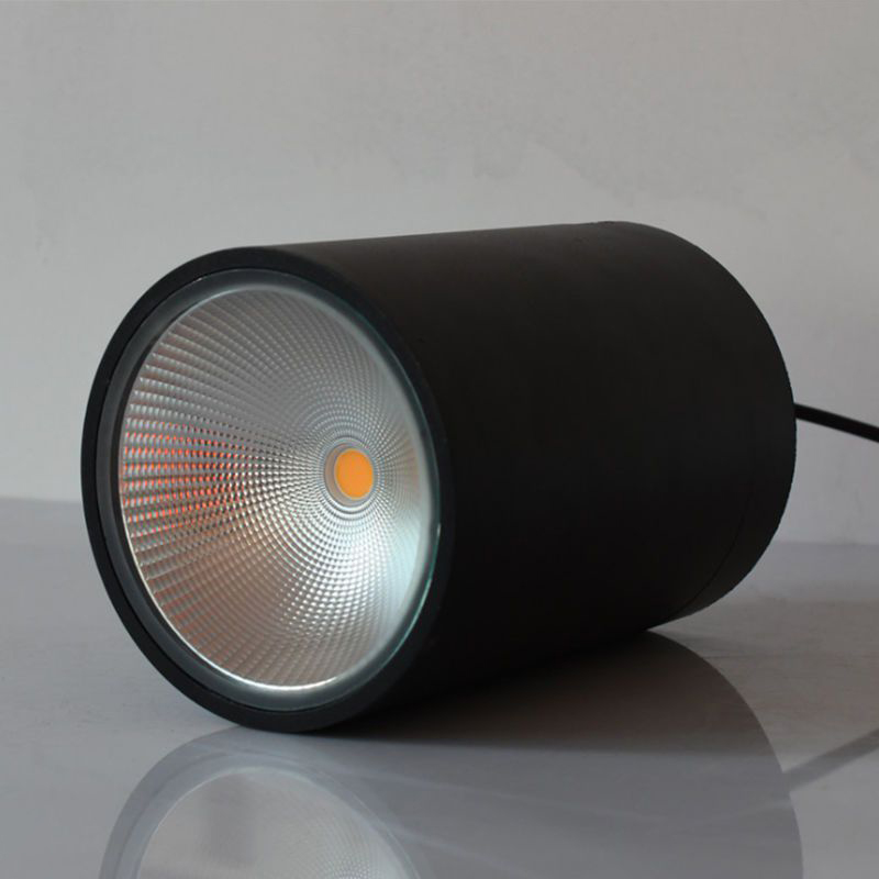 Downlight Front View