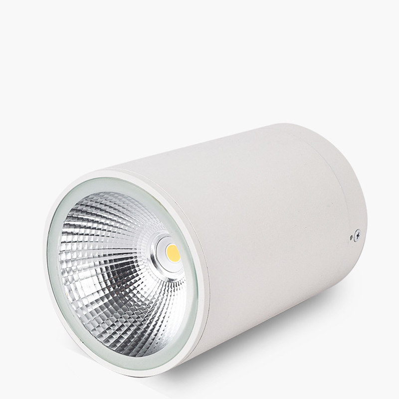 Downlight Bottom View