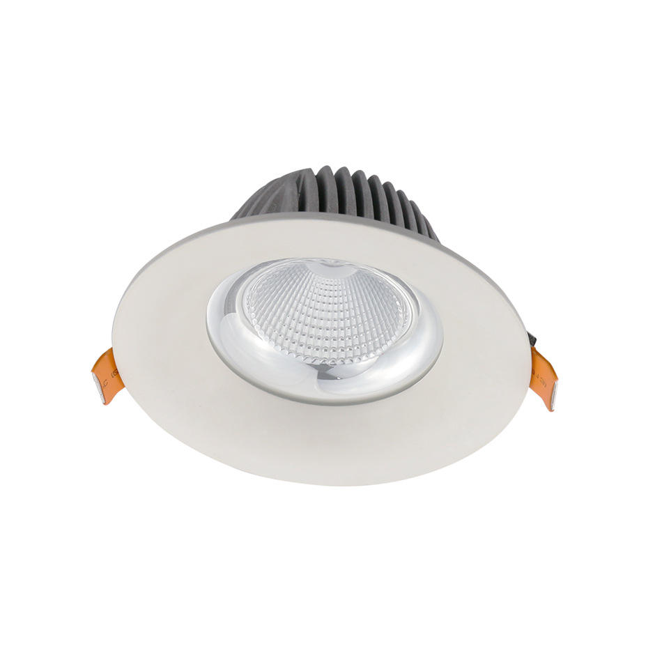 Downlight Front View