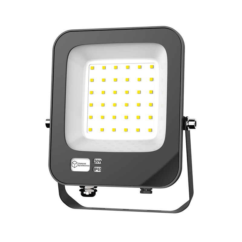 LED Flood Light
