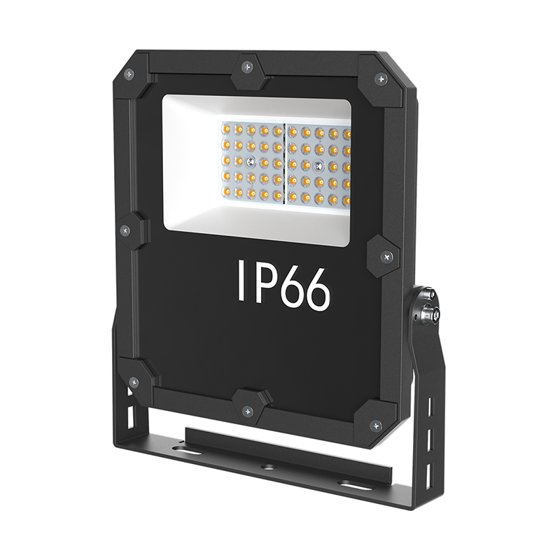 lED Flood Light