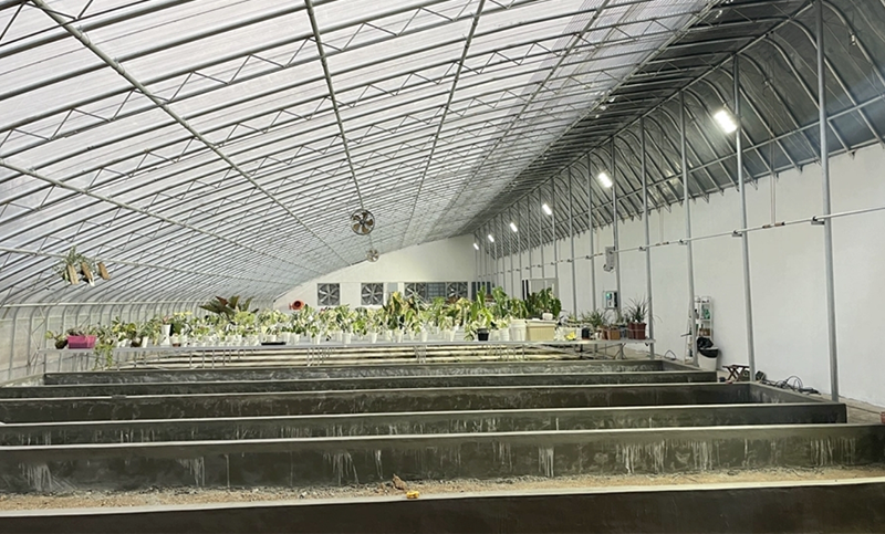 Greenhouse for plants